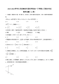 2023-2024学年江苏省南京外国语学校高一下学期6月期末考试数学试题（A卷）（含答案）