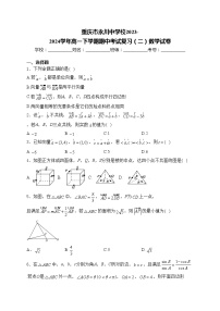 重庆市永川中学校2023-2024学年高一下学期期中考试复习（二）数学试卷(含答案)