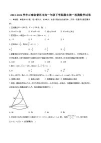 2023-2024学年云南省普洱市高一年级下学期期末统一检测数学试卷（含解析）
