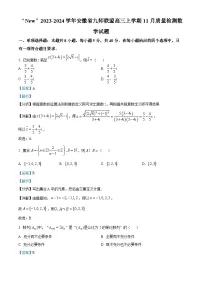 安徽省九师联盟2023-2024学年高三上学期11月联考数学试卷（Word版附解析）