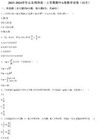 2023~2024学年山东菏泽高一上学期期中A卷数学试卷（11月）（含答案与解析）
