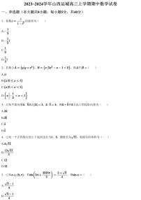 2023~2024学年山西运城高三上学期期中数学试卷（含答案与解析）