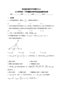 河北省石家庄市辛集市2023-2024学年高一下学期期末教学质量监测数学试卷(含答案)