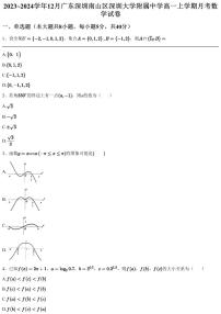 2023~2024学年12月广东深圳南山区深圳大学附属中学高一上学期月考数学试卷(含答案与解析)