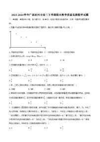 2023-2024学年广西钦州市高二下学期期末教学质量监测数学试题(含解析)
