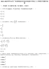 2022~2023学年11月广东深圳盐田区盐田高级中学高三上学期月考数学试卷（含答案与解析）