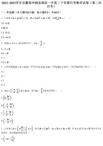 2022~2023学年安徽宿州泗县泗县一中高二下学期月考数学试卷（第二次月考）（含答案与解析）