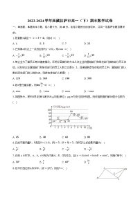 2023-2024学年西藏拉萨市高一（下）期末数学试卷（含答案）