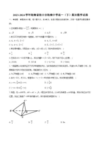 2023-2024学年海南省海口市海南中学高一（下）期末数学试卷（含答案）