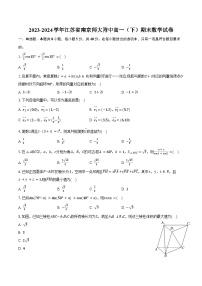 2023-2024学年江苏省南京师大附中高一（下）期末数学试卷（含解析）