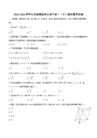 2023-2024学年江苏省南京师大附中高一（下）期末数学试卷（含解析）