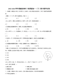 2023-2024学年福建省漳州十校联盟高一（下）期中数学试卷（含答案）
