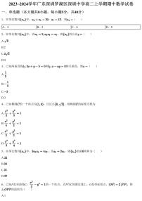 2023~2024学年广东深圳罗湖区深圳中学高二上学期期中数学试卷（含答案与解析）