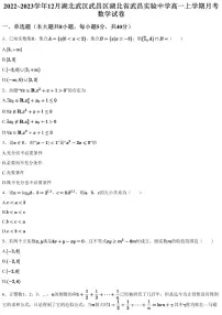 2022~2023学年12月湖北武汉武昌区湖北省武昌实验中学高一上学期月考数学试卷（含答案与解析）