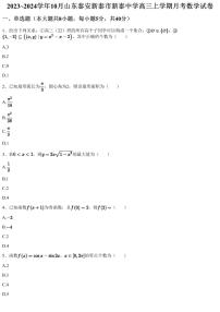 2023~2024学年10月山东泰安新泰市新泰中学高三上学期月考数学试卷（含答案与解析）