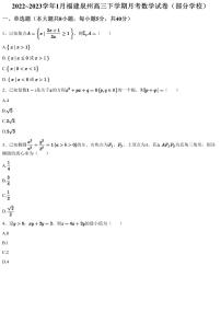 2022~2023学年1月福建泉州高三下学期月考数学试卷(部分学校)(含答案与解析)