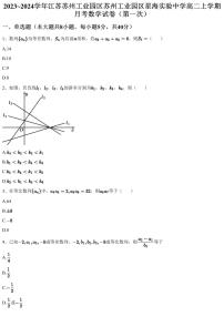 2023~2024学年江苏苏州工业园区苏州工业园区星海实验中学高二上学期月考数学试卷（第一次）（含答案与解析）