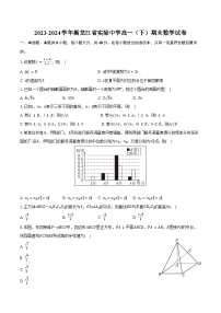 2023-2024学年黑龙江省实验中学高一（下）期末数学试卷（含答案）