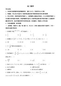 河南省九师联盟2024-2025学年高三上学期开学数学试题（原卷版+解析版）
