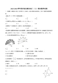 2023-2024学年贵州省安顺市高二（上）期末数学试卷（含解析）