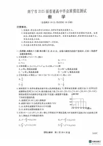 广西南宁市2024-2025学年高三上学期普通高中毕业班摸底测试数学试题