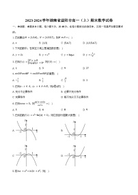 2023-2024学年湖南省益阳市高一（上）期末数学试卷（含答案）