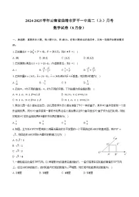 2024-2025学年云南省曲靖市罗平一中高二(上)月考数学试卷(8月份)(含答案)