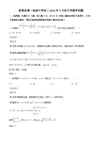 河南省驻马店市新蔡县第一高级中学2024-2025学年高三上学期9月月考数学试题（Word版附解析）