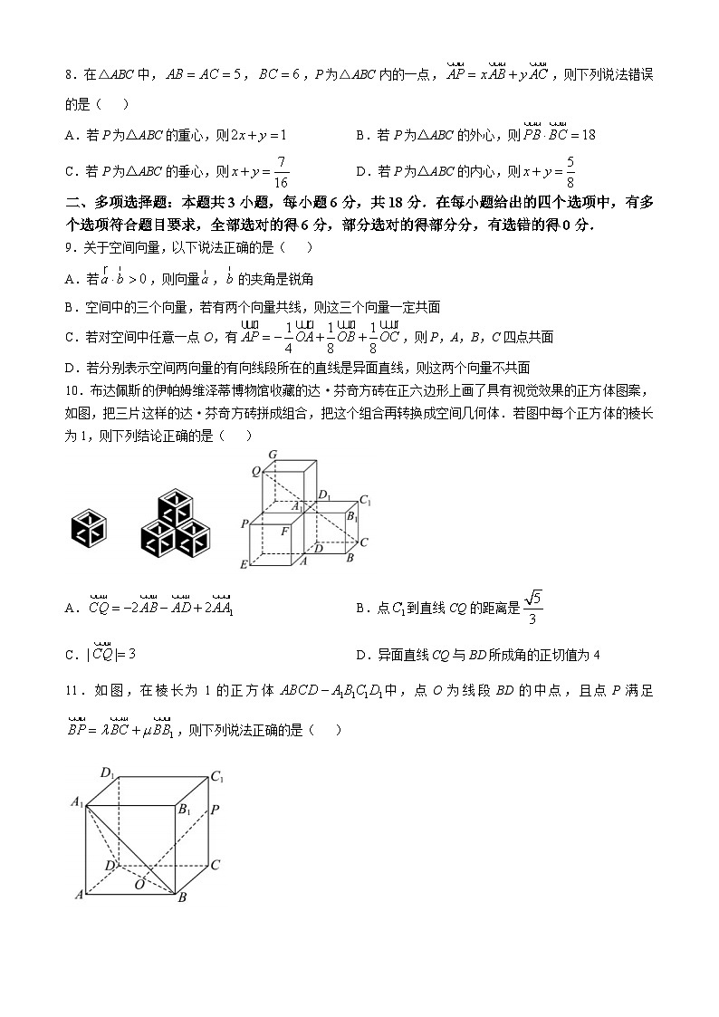 福建省厦门海沧实验中学2024-2025学年高二上学期10月月考数学试卷(无答案)第2页
