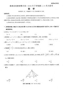 湖湘名校联合体2024年高二上学期10月月考数学试题+答案