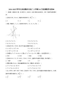 2024-2025学年江西省赣州市高二上学期10月检测数学试卷(含解析)