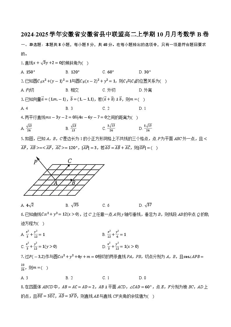 安徽省县中联盟2024-2025学年高二上学期10月月考数学B卷01