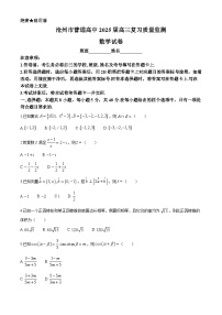 河北省沧州市普通高中2025届高三上学期10月复习质量监测数学试卷(无答案)