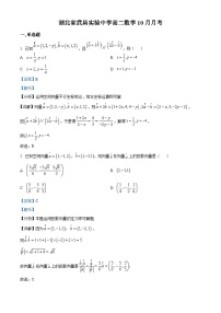 湖北省武汉市武昌实验中学2024-2025学年高二上学期10月月考数学试题(Word版附解析)