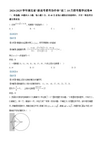 湖北省新高考联考协作体2024-2025学年高二上学期10月联考数学试题（Word版附解析）
