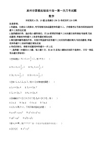 廣東省惠州市泰雅實驗高中2024-2025學(xué)年高一上學(xué)期第一次月考數(shù)學(xué)試題