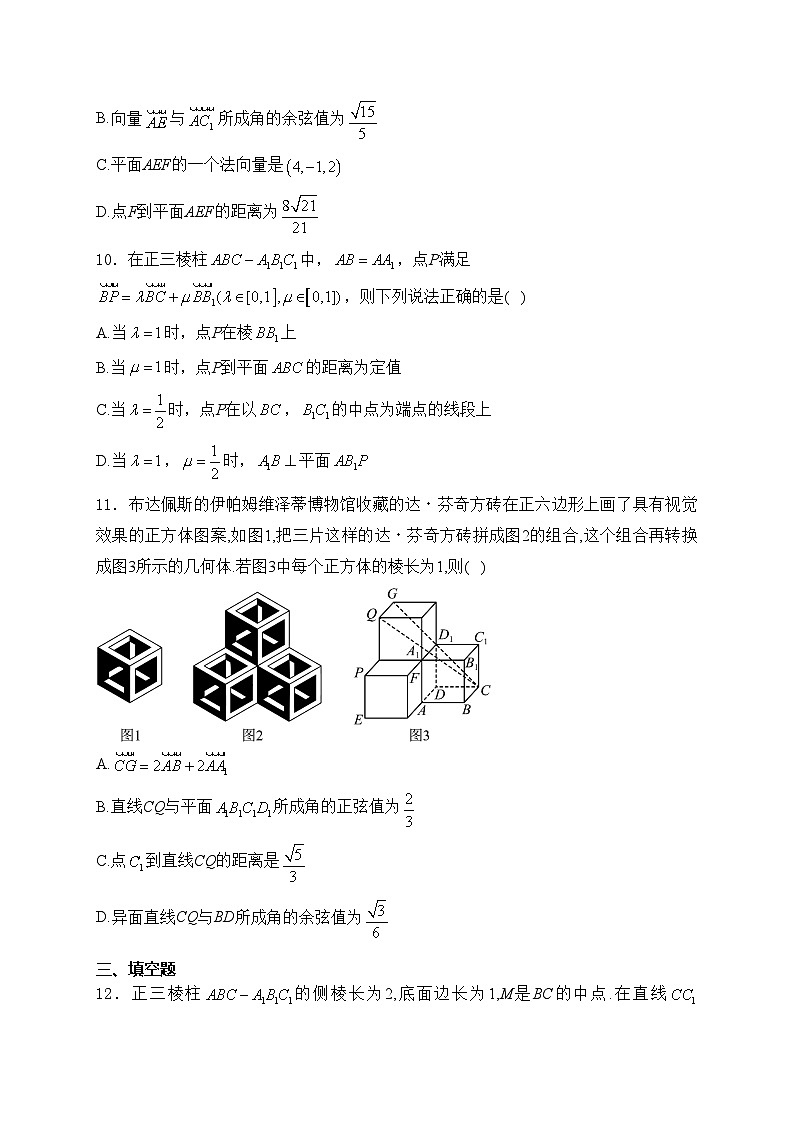 广东省部分学校2024-2025学年高二上学期第一次联考数学试卷(含答案)第3页