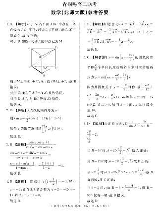 2024-2025河南青铜鸣高二上学期10月联考数学北师大版试卷及答案第3页