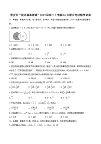 重庆市“拔尖强基联盟”2025届高三上学期10月联合考试数学试卷（含答案）
