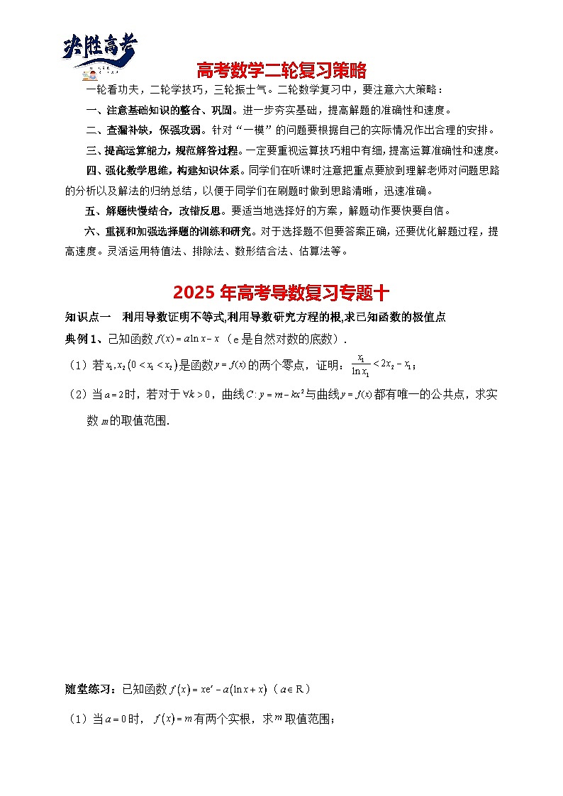 2025高考数学总复习专项复习(讲义)--一元函数的导数及其应用专题十(含解析)第1页