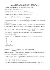 上海市上海师范大学附属中学闵行分校2024-2025学年高三上学期第三次半月考数学试题