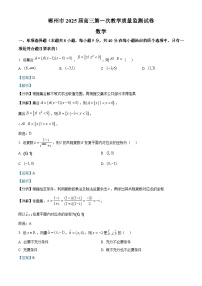 湖南省郴州市2024-2025学年高三上学期一模数学试卷（Word版附解析）
