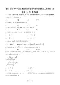 广西壮族自治区河池市河池市十校2024～2025学年高二上学期第一次联考（10月）数学试题（含答案）