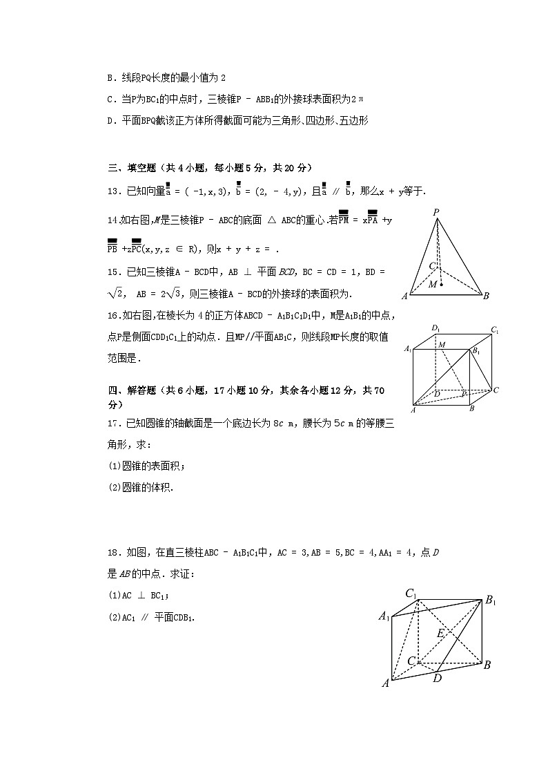 四川省南充市2023_2024学年高二数学上学期第一次月考试题10月第3页