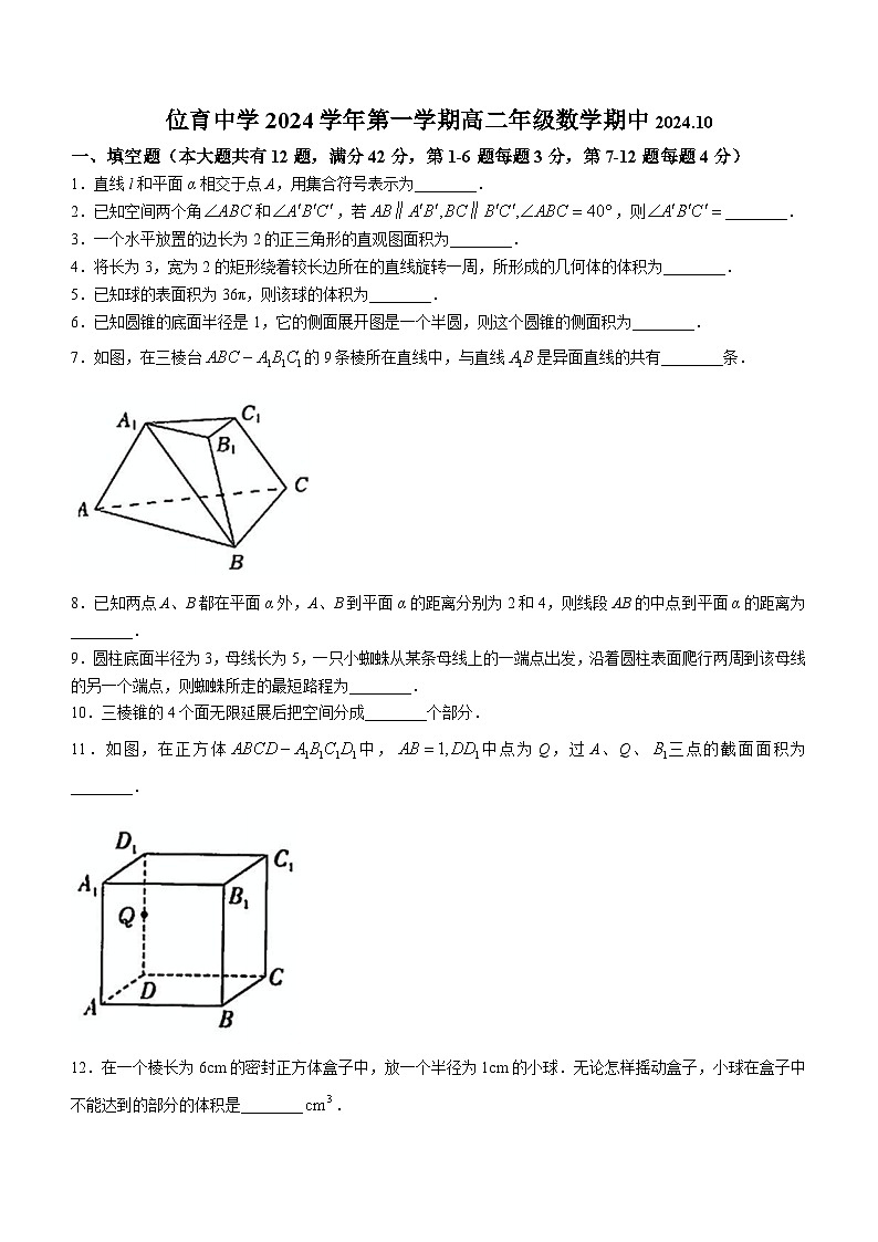 上海市位育中学2024-2025学年高二上学期10月期中数学试卷(无答案)01