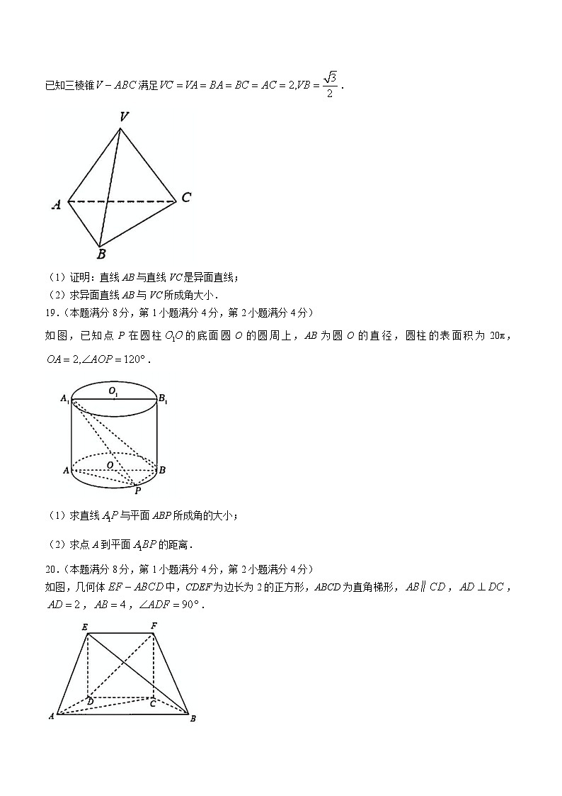 上海市位育中学2024-2025学年高二上学期10月期中数学试卷(无答案)第3页