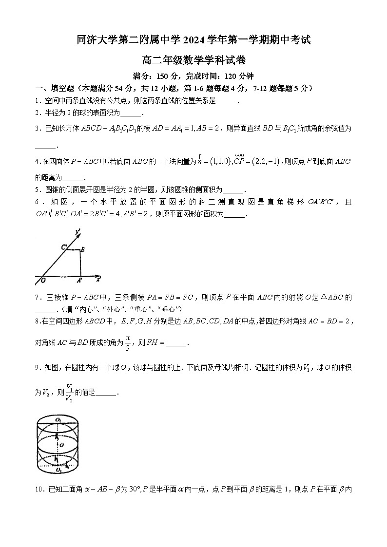 上海市同济大学第二附属中学2024-2025学年高二上学期期中考试数学试卷(无答案)第1页