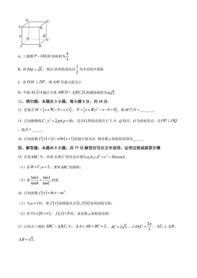 2025届河北省新高考高三10月单科模拟综合卷(三)-数学试题+答案第3页