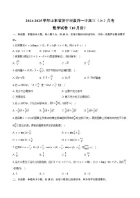 2024-2025学年山东省济宁市嘉祥一中高三(上)月考数学试卷(10月份)(含答案)