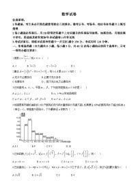 云南省昆明市云南师范大学附属中学2024-2025学年高三上学期期中考试数学试题(无答案)